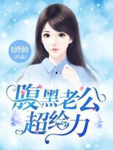 长官老公超给力,超给力，战无不胜的守护者传奇