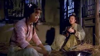 凤临阁免费观看,尽享视听盛宴